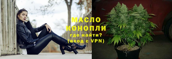 гидра Каменка
